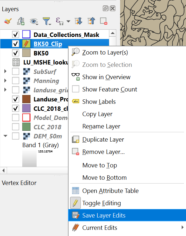 Save Layer Edits